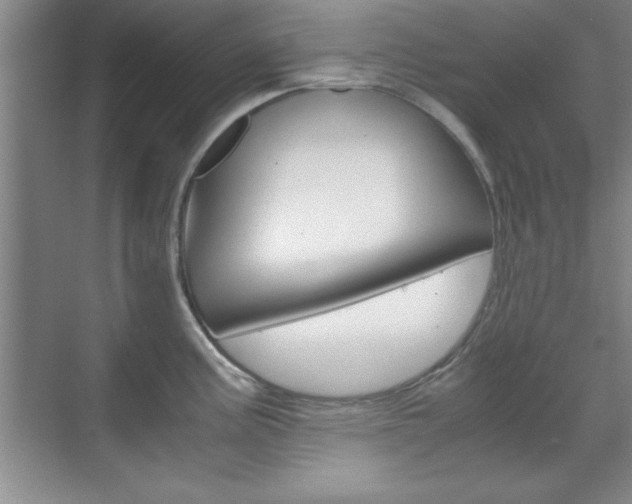 X0000071841195200606301056