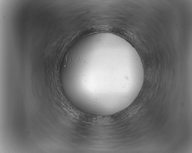 X0000071841201200606301055