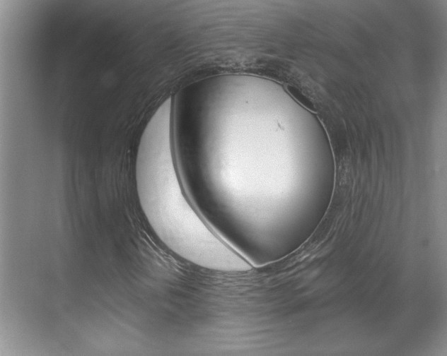 X0000071841202200606301055