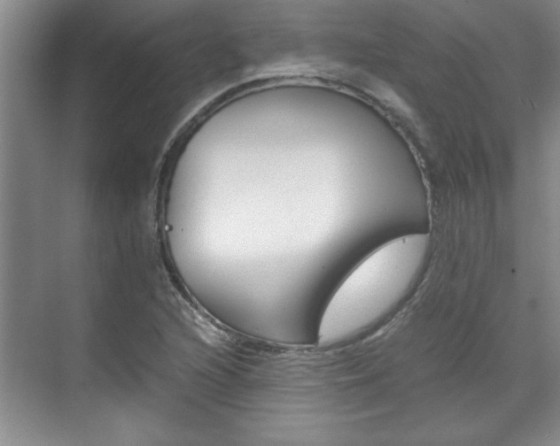 X0000071841216200606301055
