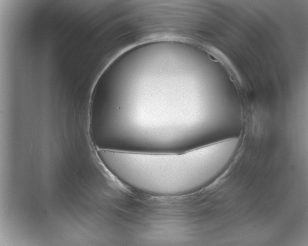 X0000071841244200606301055