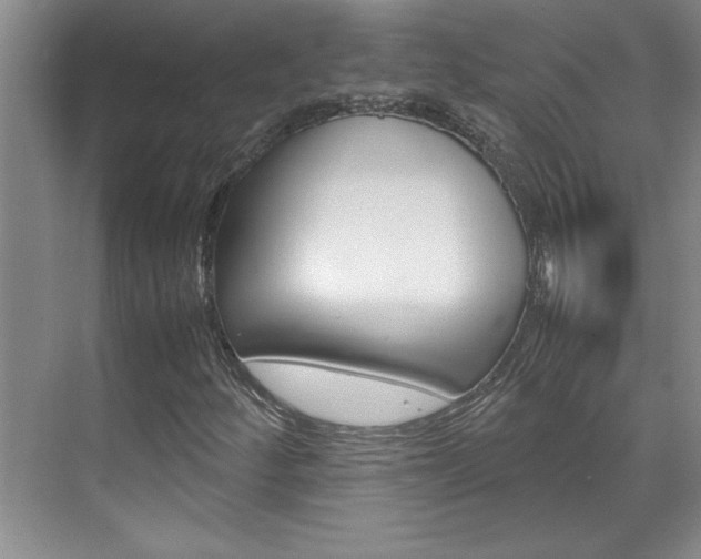 X0000071841252200606301055