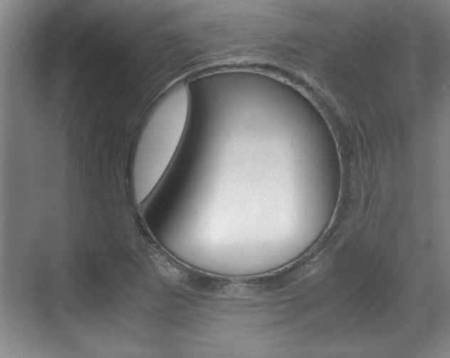 X0000071841265200606301054