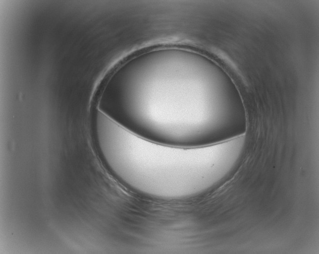X0000071841270200606301054