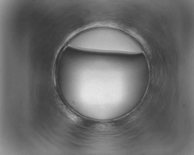 X0000071841272200606301054