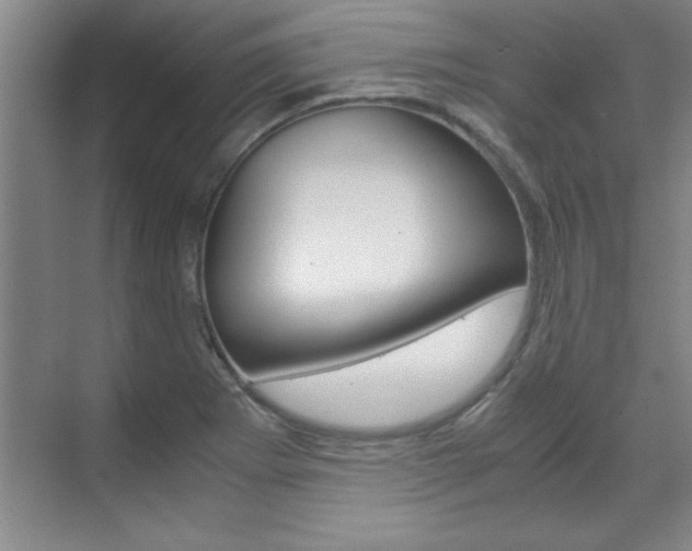 X0000071841273200606301054