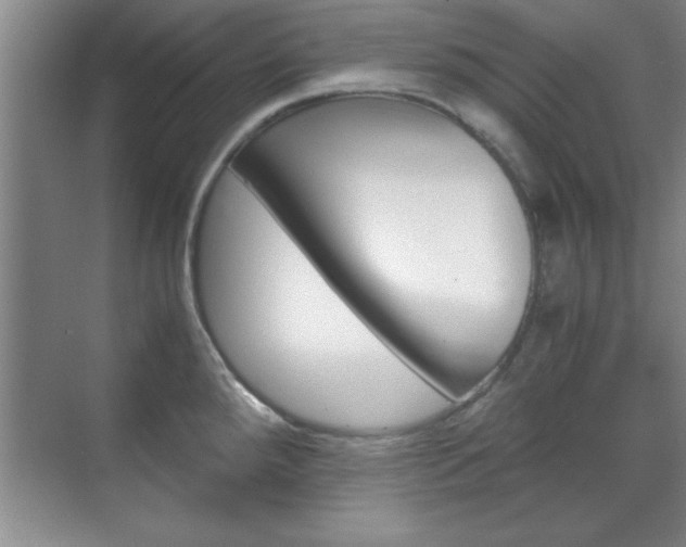 X0000071841288200606301054