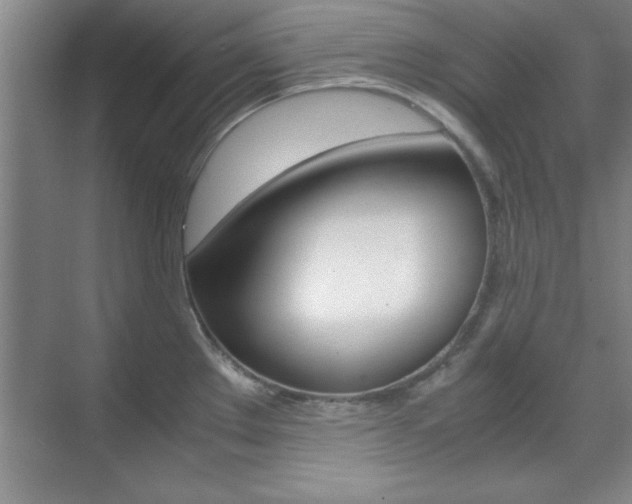 X0000071841289200606301054