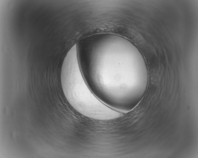 X0000071841298200606301053