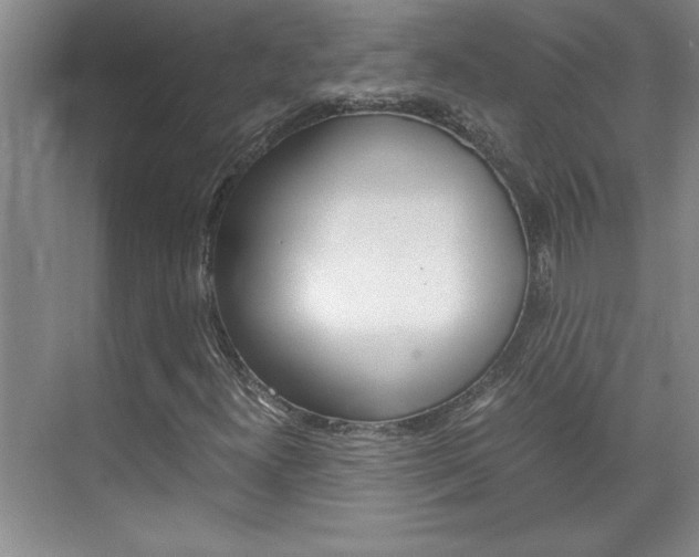 X0000071841300200606301053