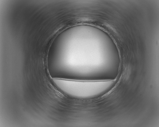 X0000071841305200606301053