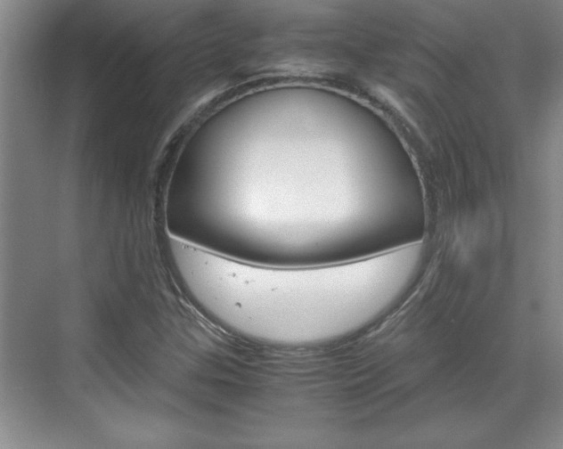 X0000071841307200606301053