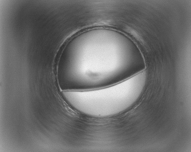 X0000071841308200606301053