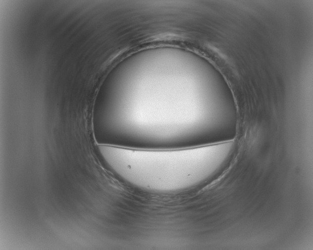 X0000071841313200606301053