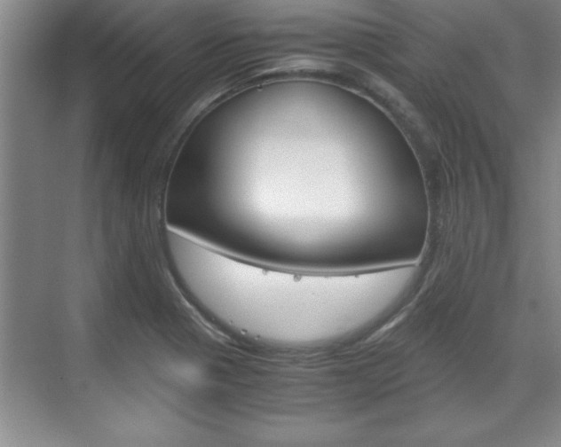 X0000071841321200606301054