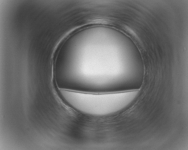 X0000071841323200606301054