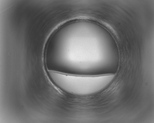 X0000071841327200606301054