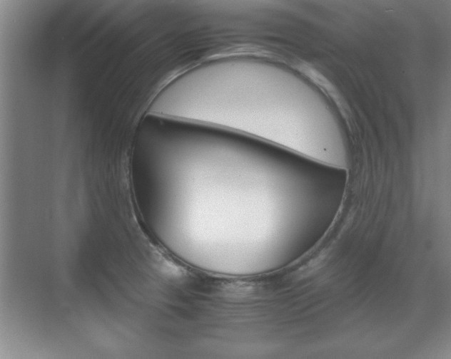X0000071841329200606301054