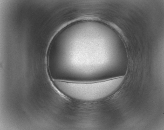 X0000071841335200606301054