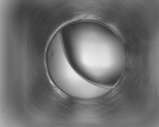 X0000071841342200606301054