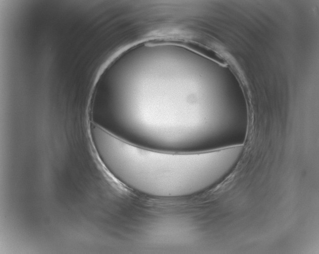 X0000071841344200606301054
