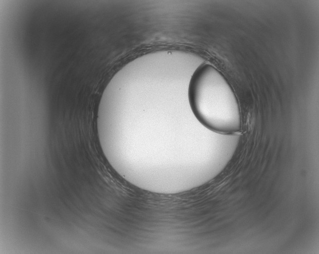 X0000071841348200606301053