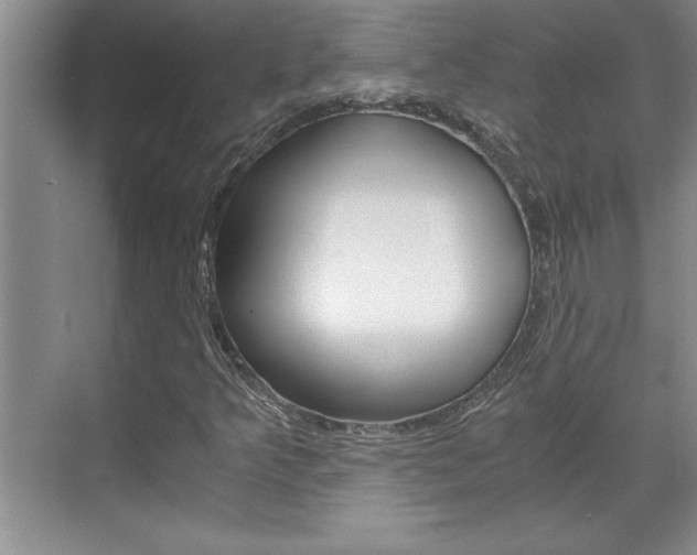 X0000071841349200606301053