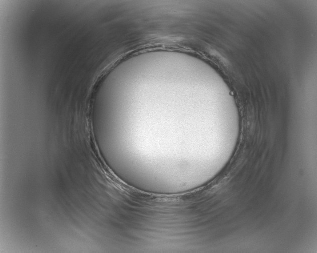 X0000071841354200606301053
