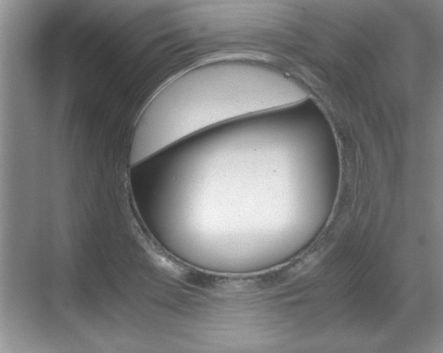 X0000071841369200606301053