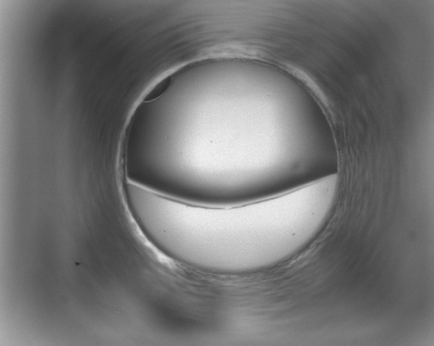 X0000071841387200606301052