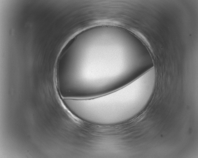X0000071841391200606301052