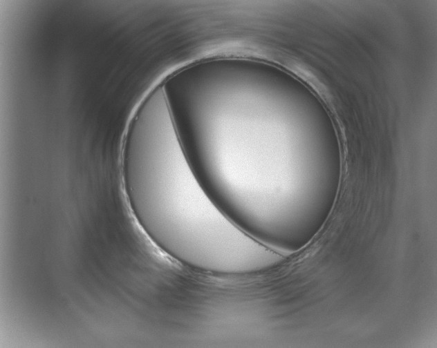 X0000071841392200606301052