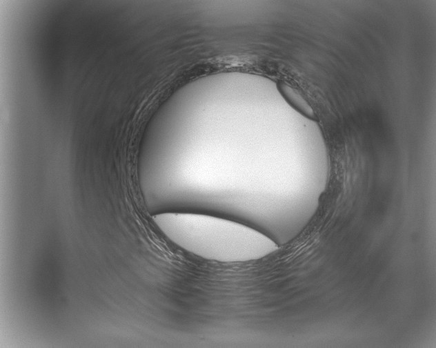 X0000071841393200606301051