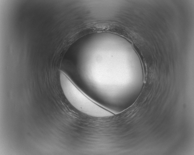X0000071841394200606301052