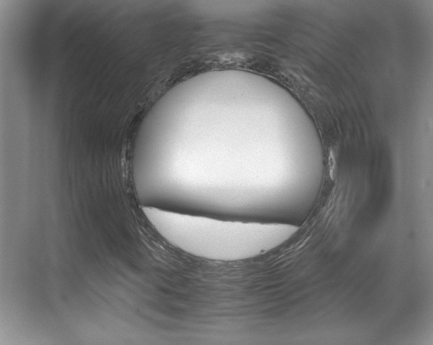 X0000071841395200606301052