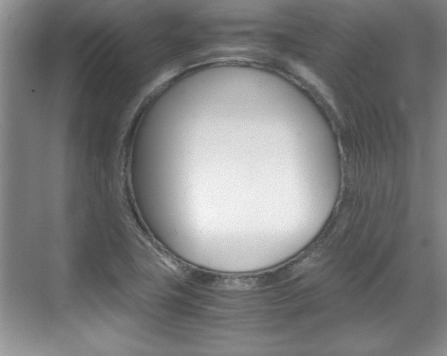 X0000071841411200606301052