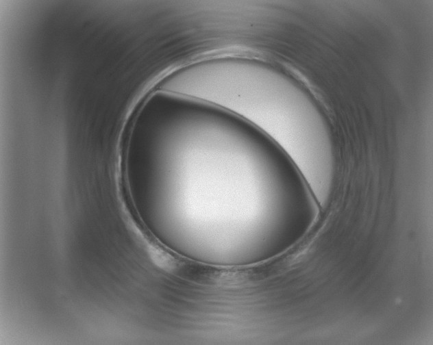 X0000071841418200606301052