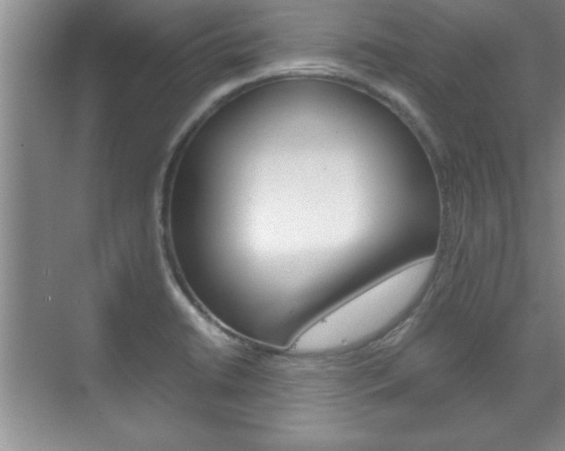 X0000071841422200606301052
