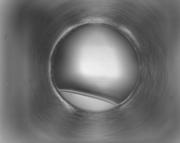 X0000071841424200606301052