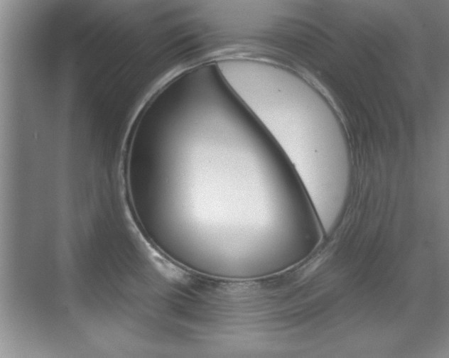 X0000071841434200606301052