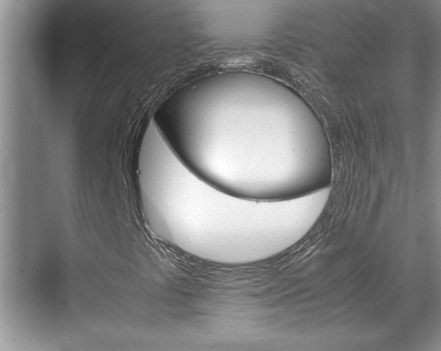 X0000071841441200606301051