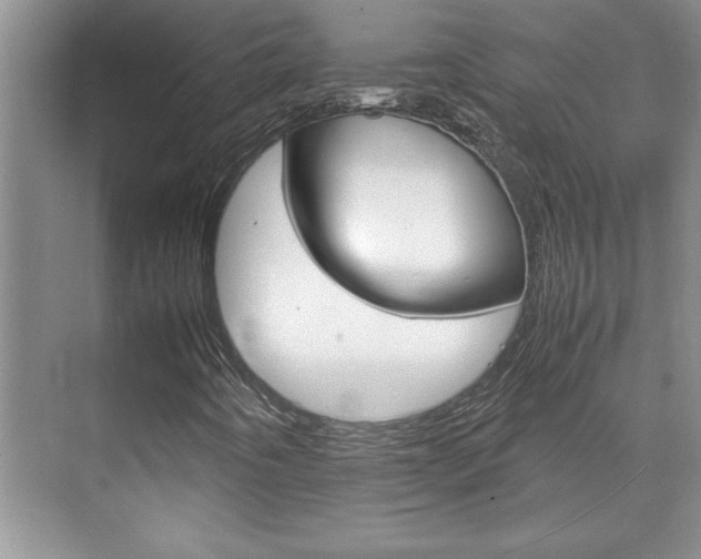 X0000071841442200606301051