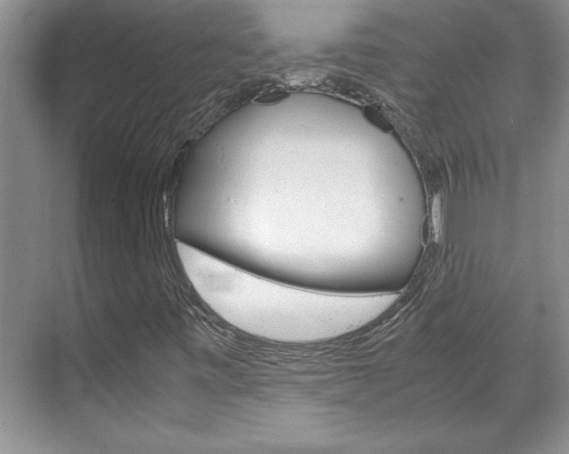 X0000071841443200606301051