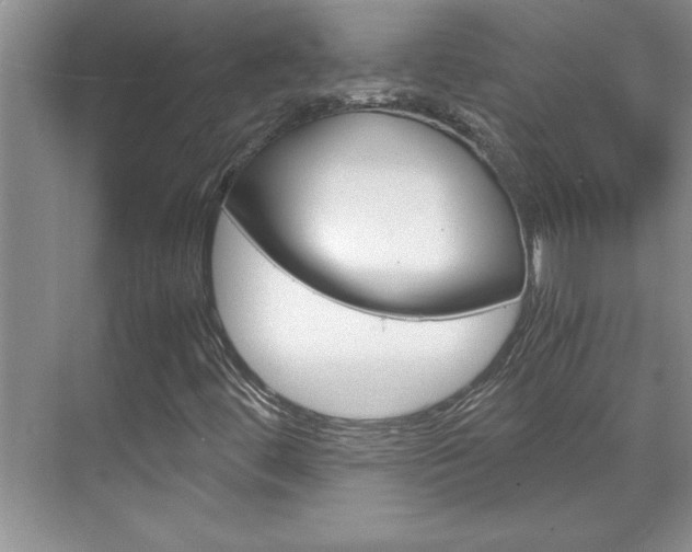 X0000071841444200606301051