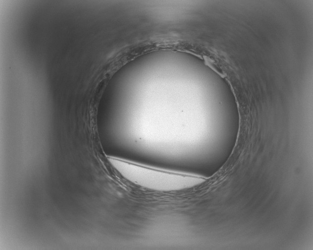 X0000071841445200606301051