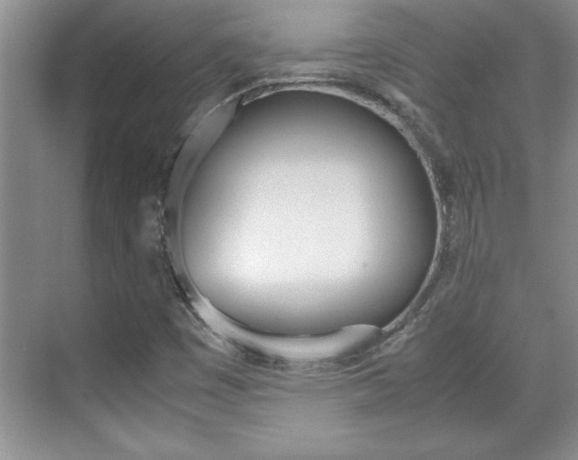 X0000071841449200606301051