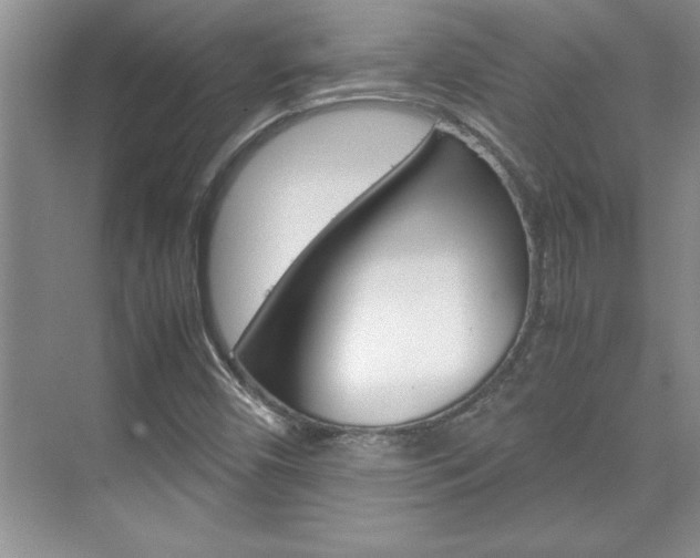 X0000071841450200606301051