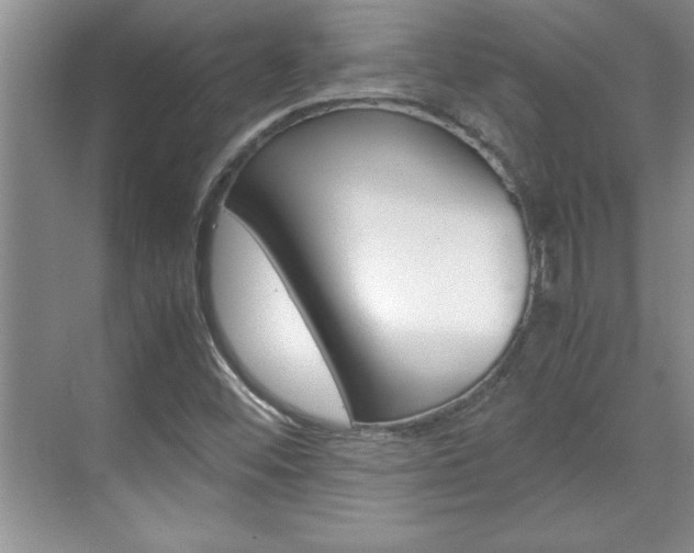 X0000071841452200606301051