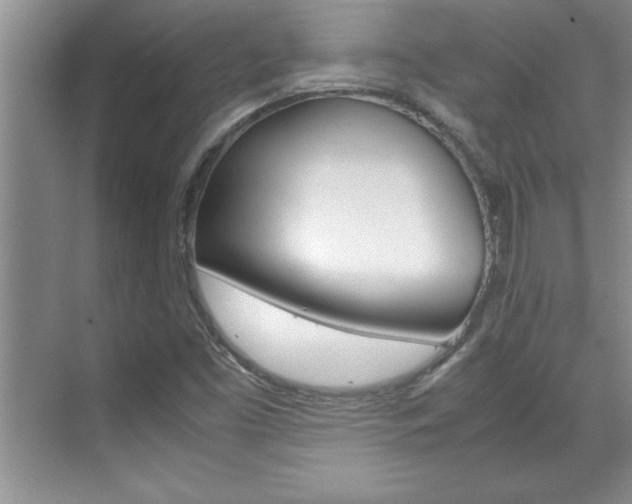 X0000071841453200606301051