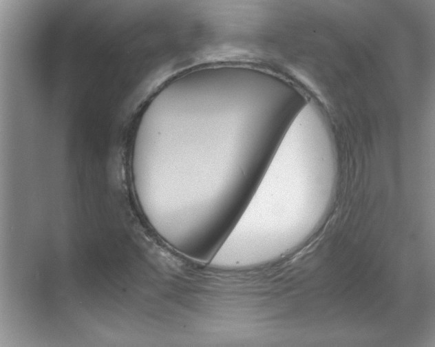 X0000071841455200606301051